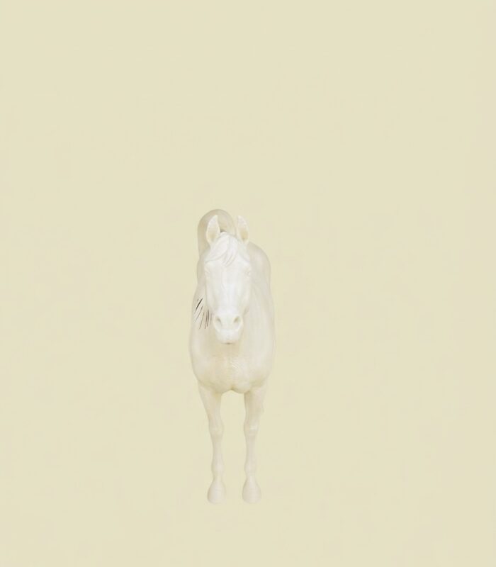 خيل - Image 2