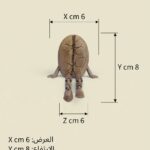 حبة قهوة