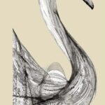 البجعة