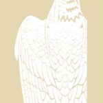 استيكر الطير اماراتي ايديشن