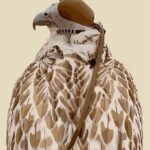 ستيكر الطير