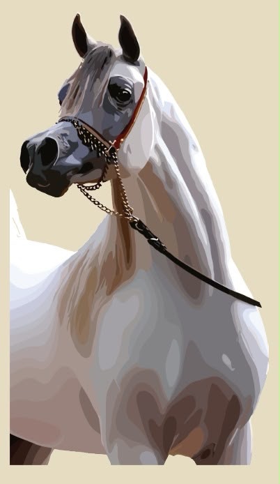 99fc2b5a-eb86-4ef7-a979-e67f0ccdcdeb_3ea18311-d50d-4f0a-b2a5-763fdf90365d الخيل - Image 1