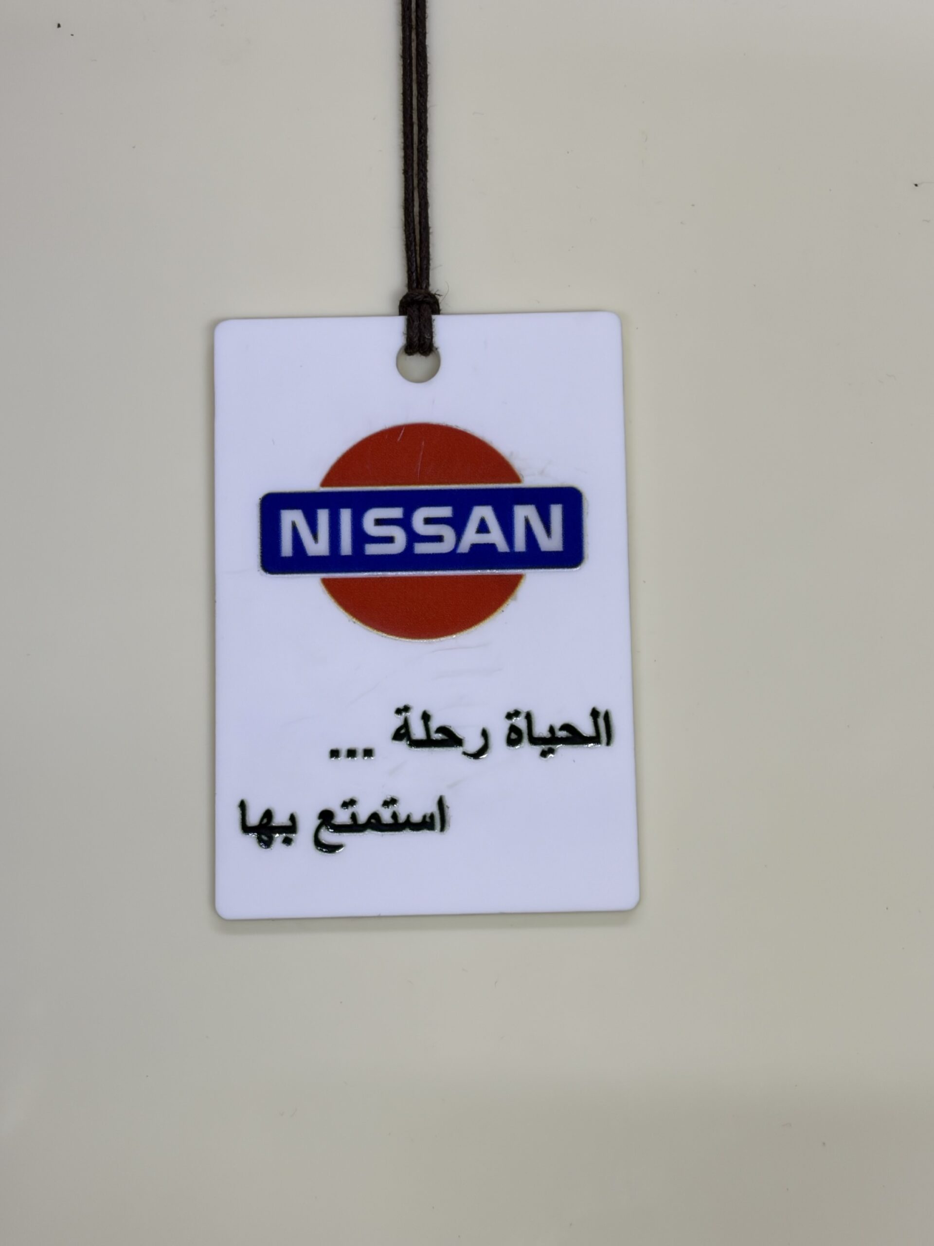img_3503 نيسان الحياة رحلة ( اكريليك ) - الصورة 1